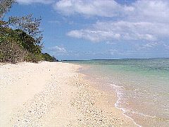 �������C��