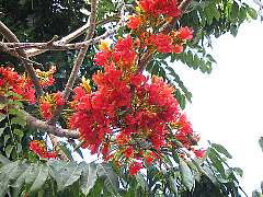 �܂����O�̂킩��Ȃ���