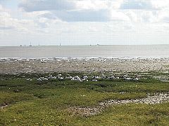 �����̒�����