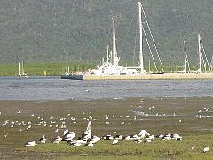 �C�ӂ̐�������