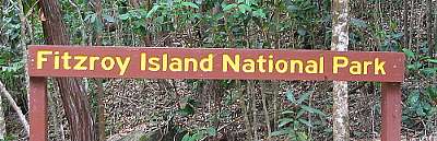 �t�B�b�c���C��������