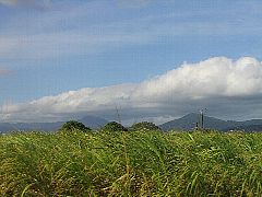 �T�g�E�L�r��