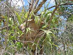 �R�E��������