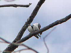 �����c�o��