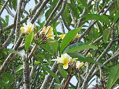 �v�������A