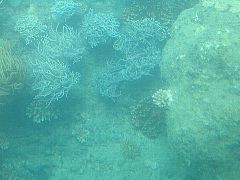 �O���X�|�[�g���猩���C��