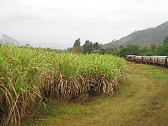 ���Ƃ����є�