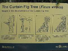 �i�ߎE���̃C�`�W�N�̐���