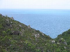 �R������̊C