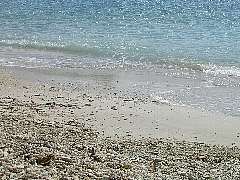 �X��̂�����