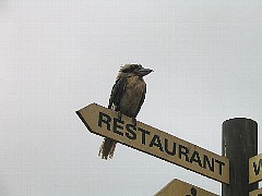 �����C�J���Z�~